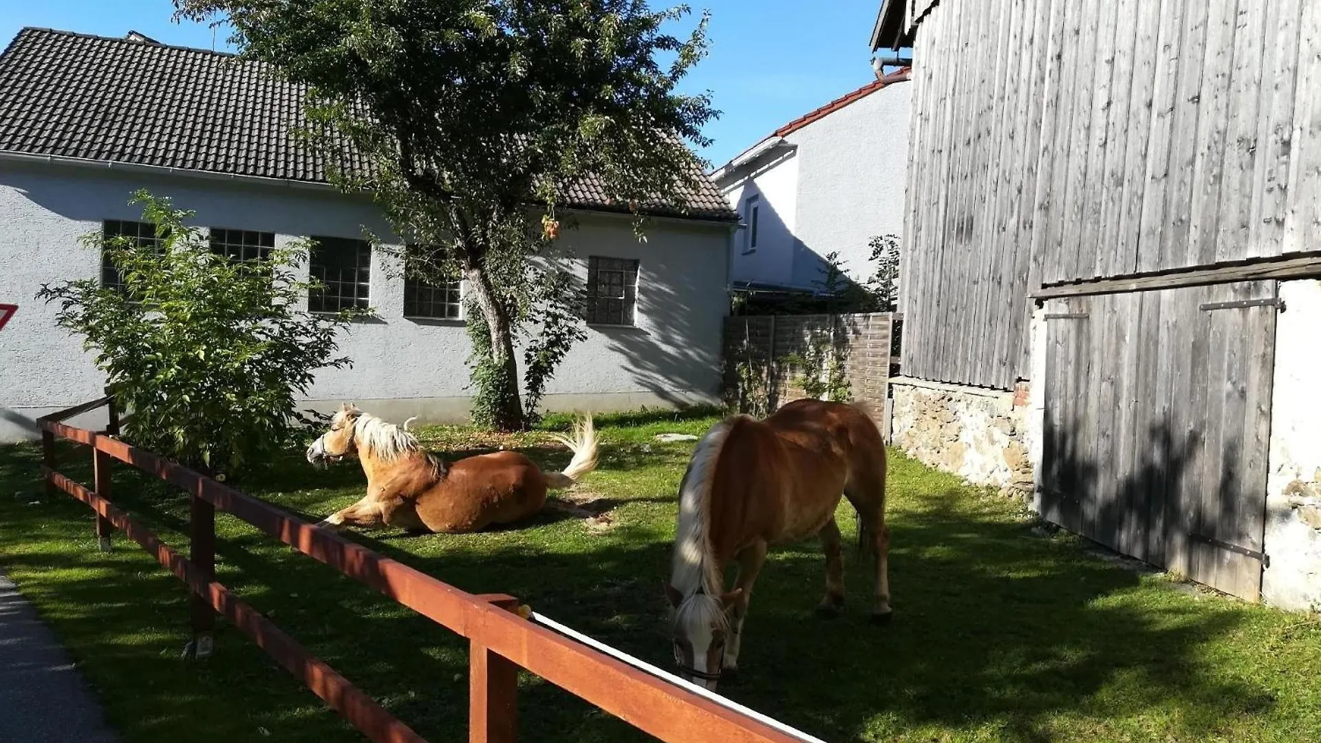 Appartement Ferienhof Landhaus Guglhupf Sankt Oswald-Riedlhuette Duitsland